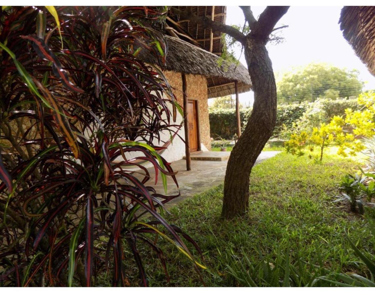 Eco Villas וואטאמו מראה חיצוני תמונה